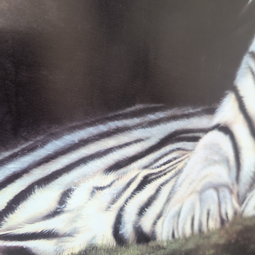 Sonia Torres Limited Edition,‎ Numbered, Signed White Tiger Artist's Print - Picture 3 of 8